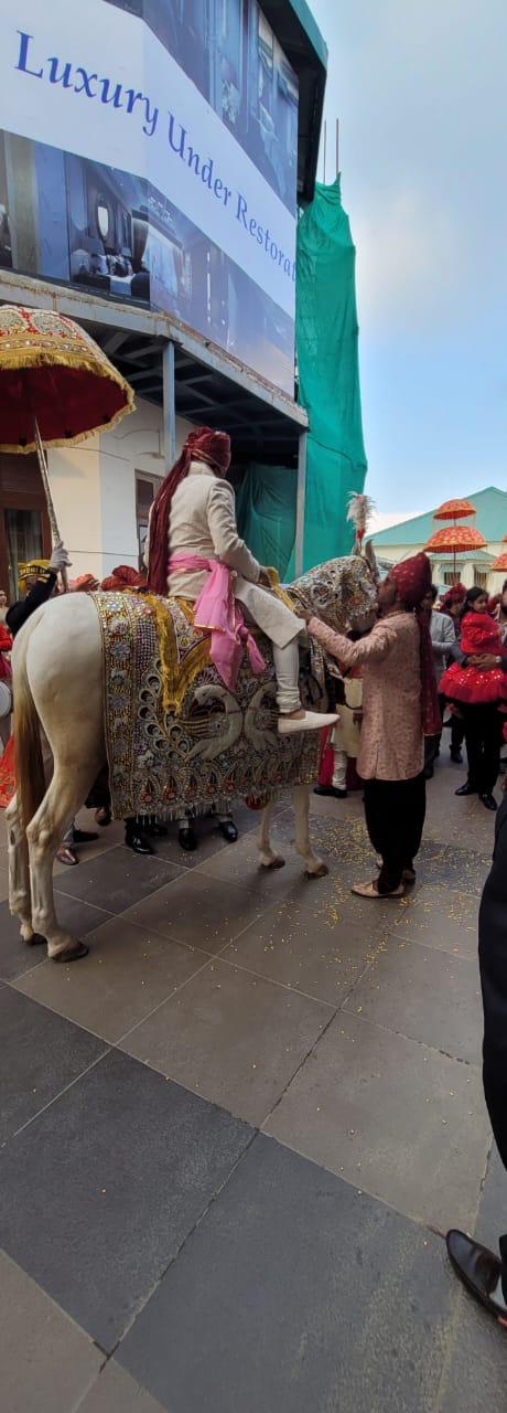 Sindhi Hira Nand Ghori Wala(Regd.)
